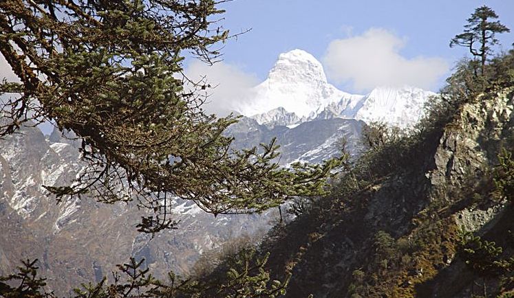 Jannu ( Khumbakarna ) from Deorali Danda