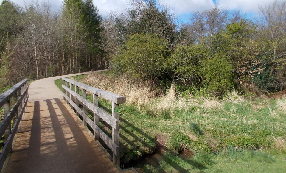 Bridge over burn in the Craigdhu Wedge