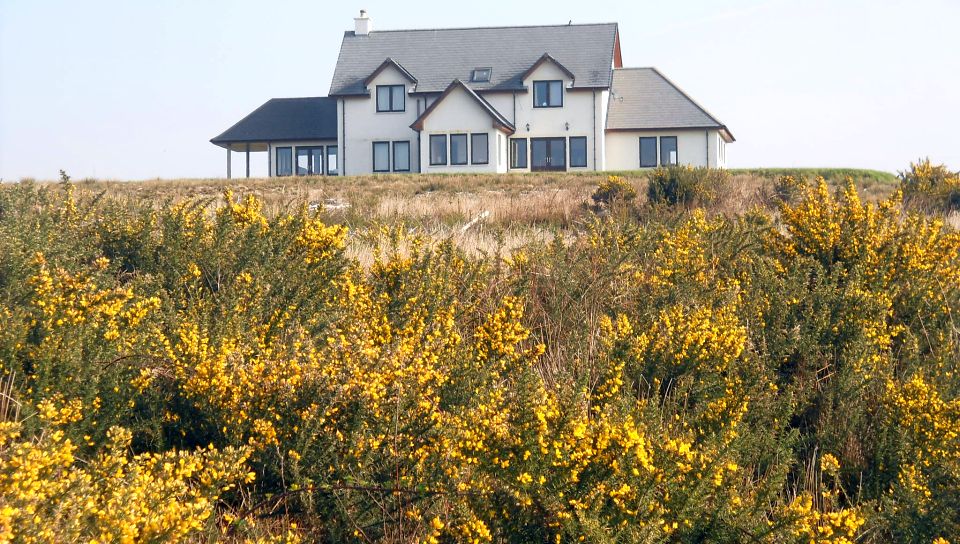 Hillside house and gorse in bloom on ascent to Ben Bowie