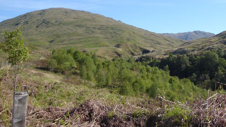 Beinn Chaorach at start of ascent from Auchtertyre