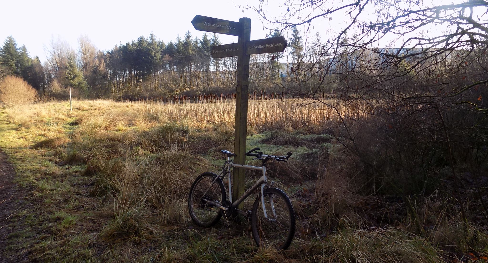 Orchardton Woods at Broadwood Loch at Cumbernauld