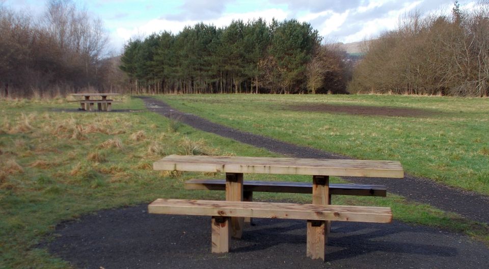 Path through Garscadden Woods West