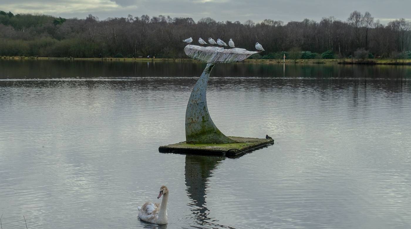 Lochend Loch at Drumpellier Country Park