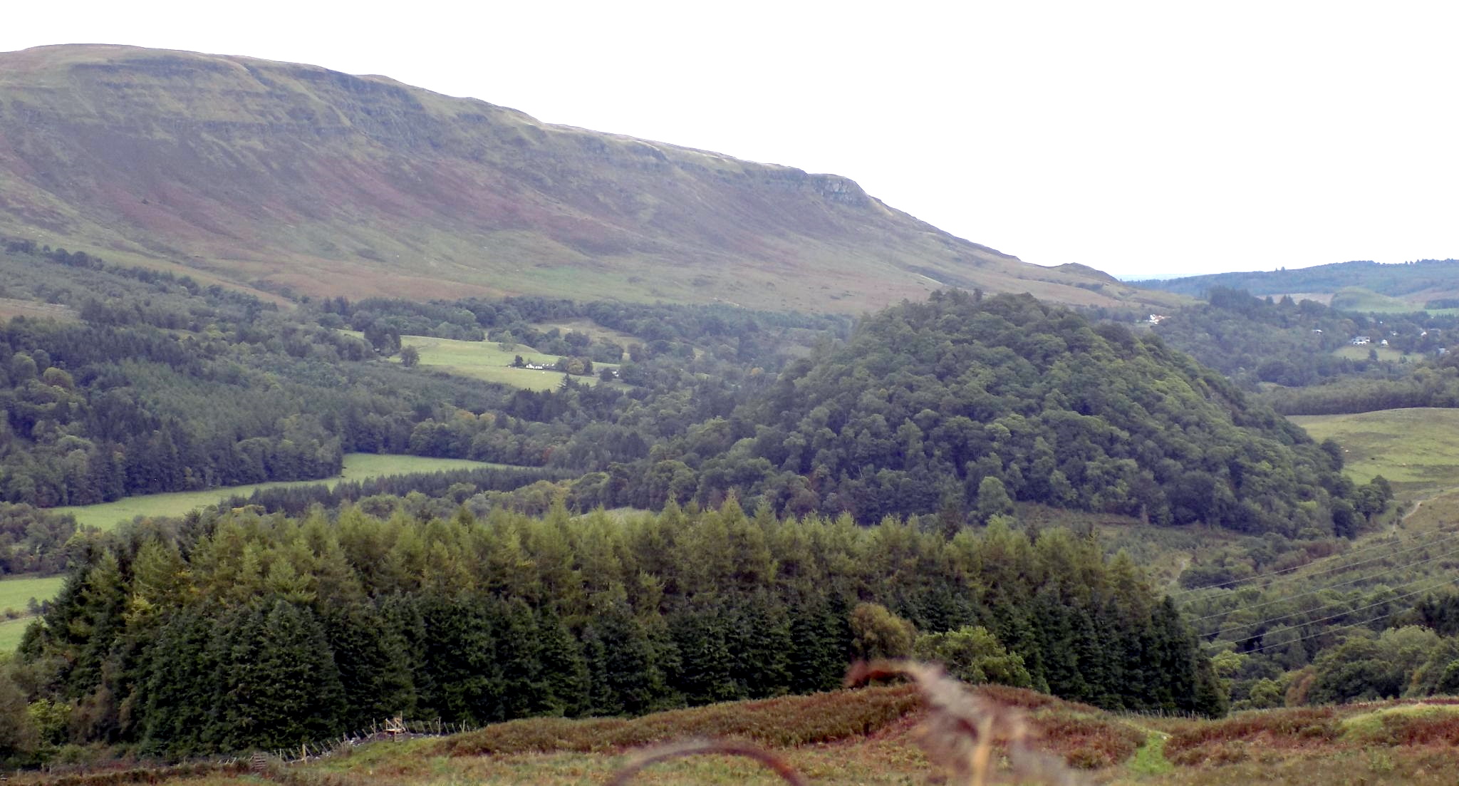 Campsie Fells from Quinlochmore