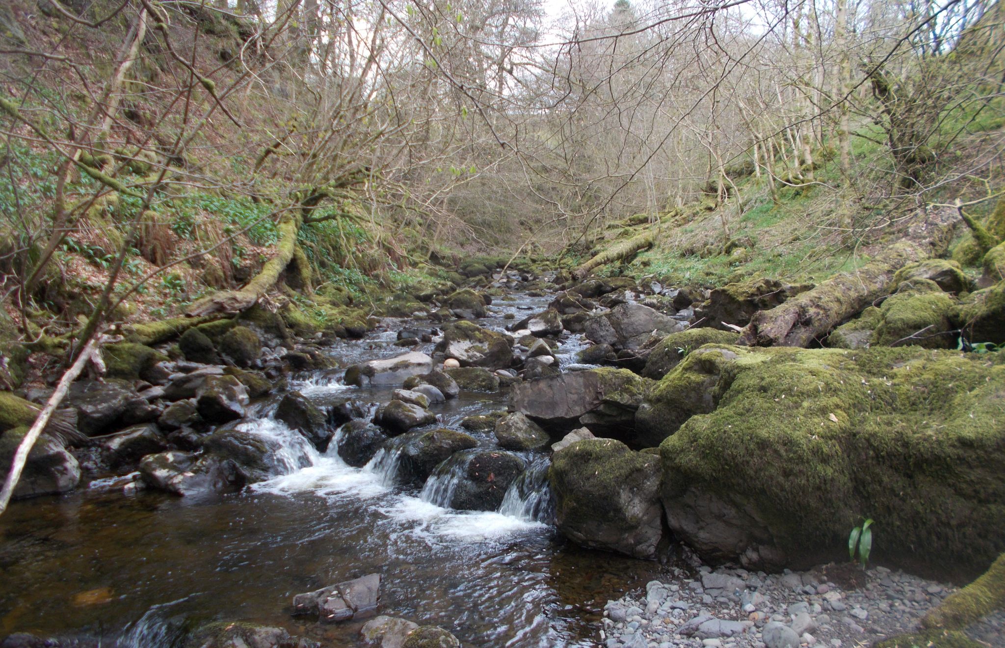 Finglen Burn