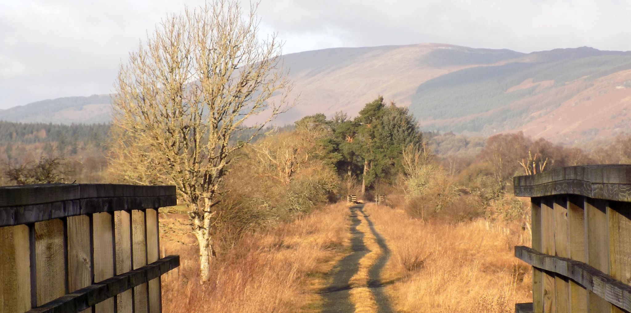 The track along the old railway line from Gartmore