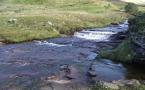 DSCF3119.JPG