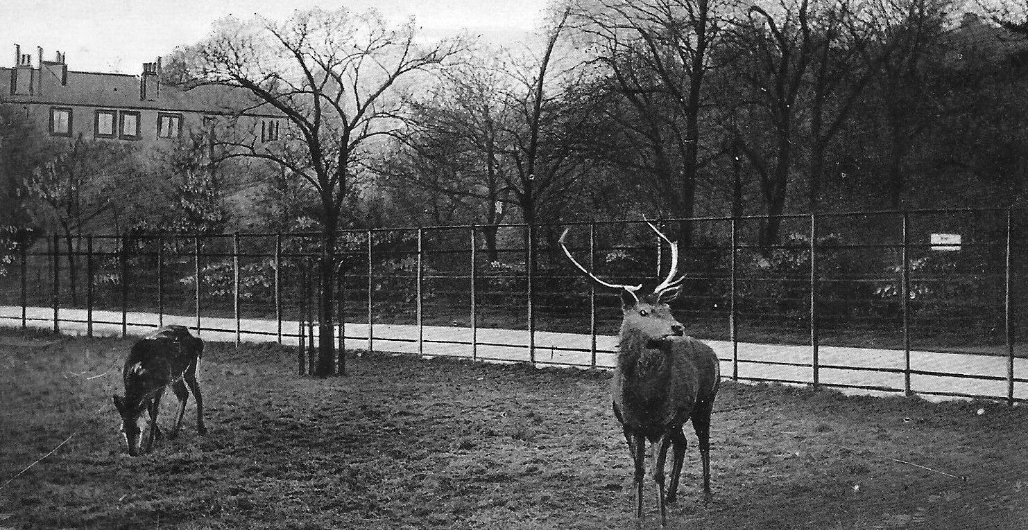 Old photo of Elder Park