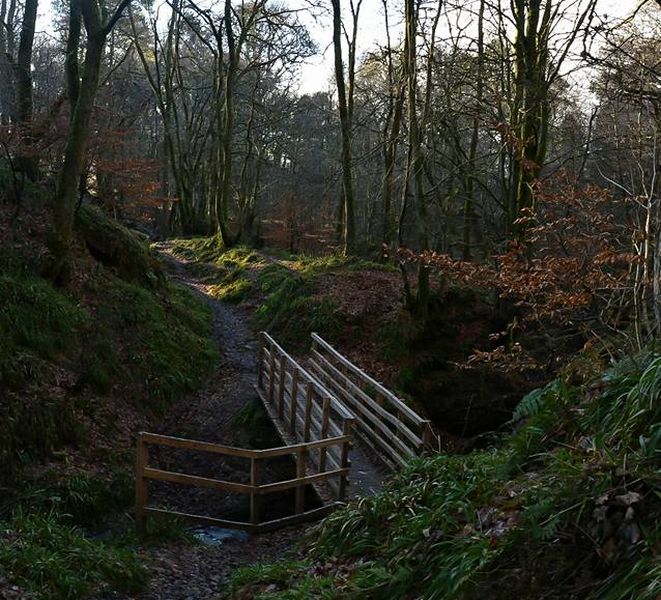 Bridge in Killearn Glen