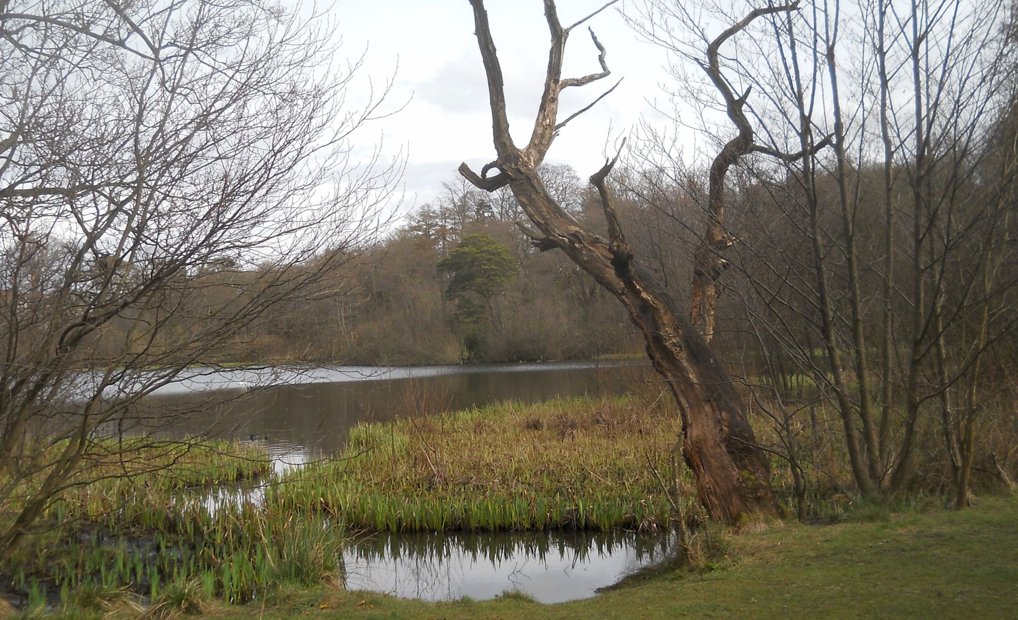 Kilmardinny Loch in Bearsden