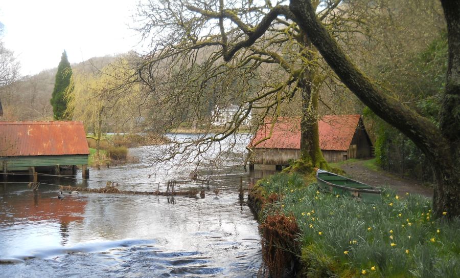 River Forth outlet from Loch Ard on the outskirts of Aberfoyle