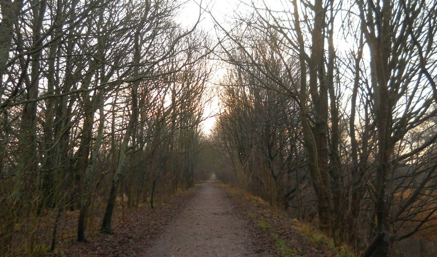 The Thomas Muir Trail / Strathkelvin Railway Path from Milton of Campsie to Kirkintilloch