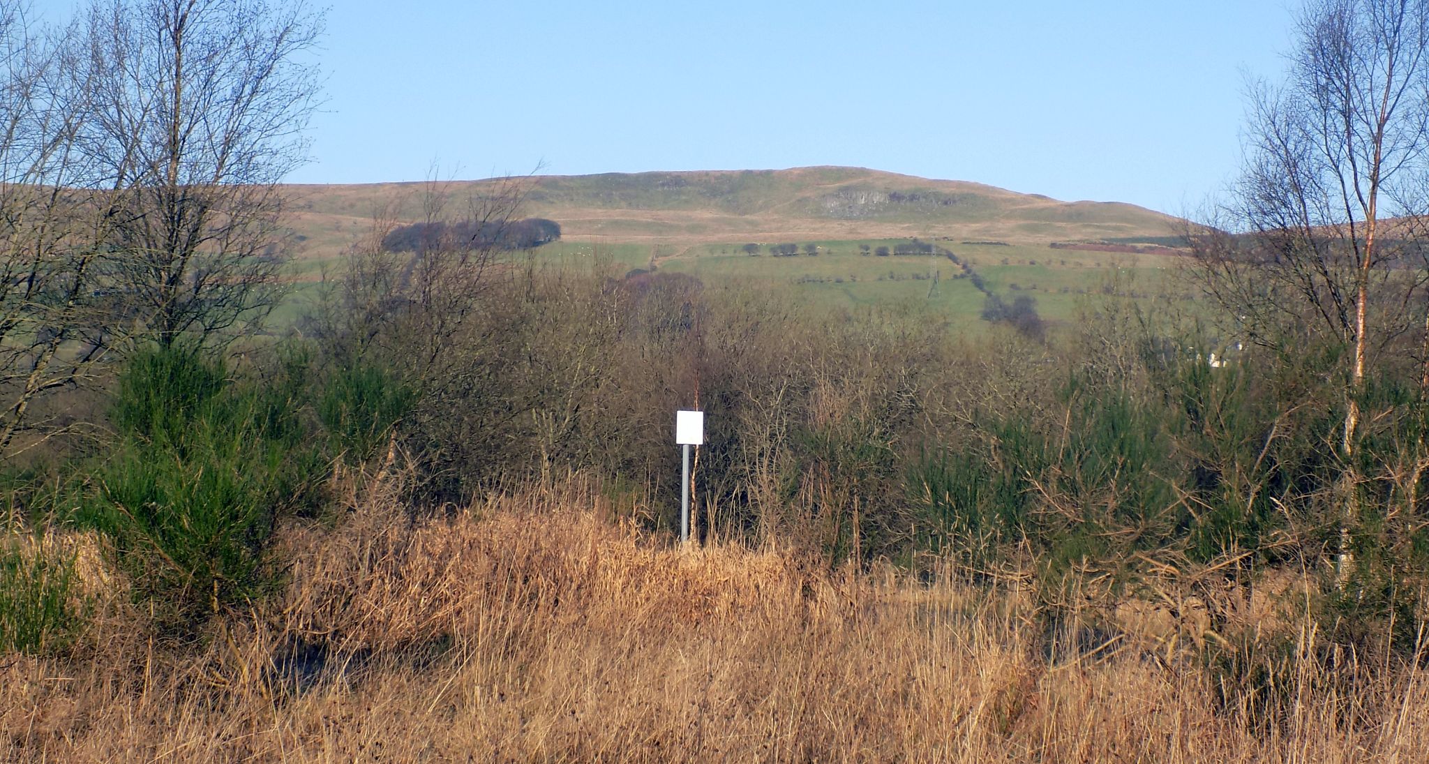 Campsie Fells from Dumbreck Marsh