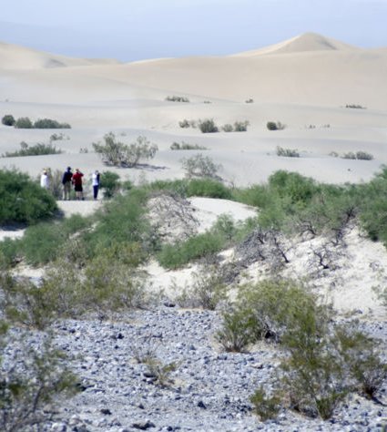 Sand Dunes in Death Valley