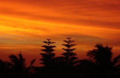 Negombo Beach, Sri Lanka